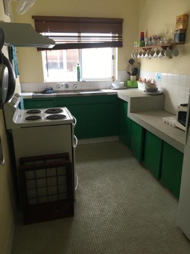 飞鱼湾Ocean View Apartments的厨房配有绿色橱柜和炉灶。 顶部烤箱