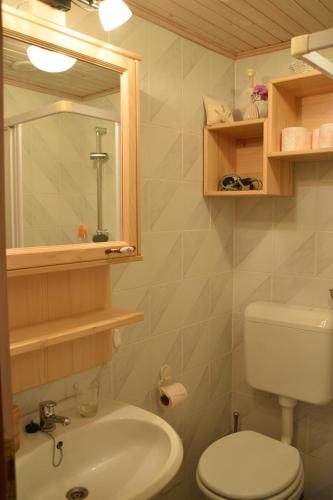 索尔察瓦Farm Stay "Alpine Dreams"的一间带水槽、卫生间和镜子的浴室