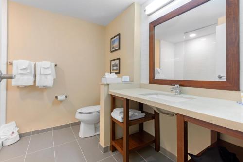 鲍曼维尔Comfort Inn & Suites的一间带水槽和卫生间的浴室