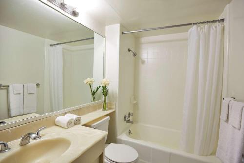 檀香山帕戈达酒店的一间带水槽、卫生间和镜子的浴室
