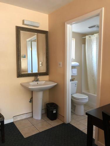 阿罗约格兰德阿罗约乡村旅馆的一间带水槽、卫生间和镜子的浴室
