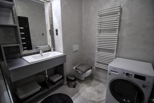 特尔古穆列什Apartament Diana的一间带水槽、卫生间和镜子的浴室
