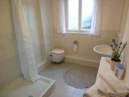 卡尔斯鲁厄城堡公寓的一间带卫生间和水槽的浴室