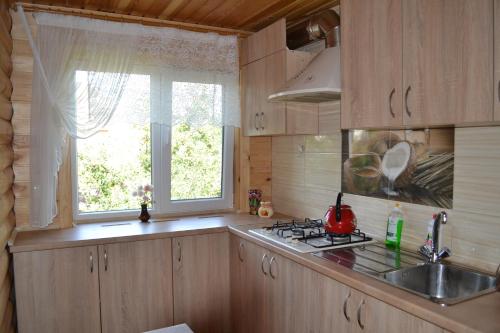 LipinyЛипинський的厨房配有水槽、炉灶和窗户。