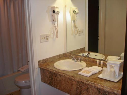 西丹尼斯盖斯特旅馆的一间带水槽、镜子和卫生间的浴室