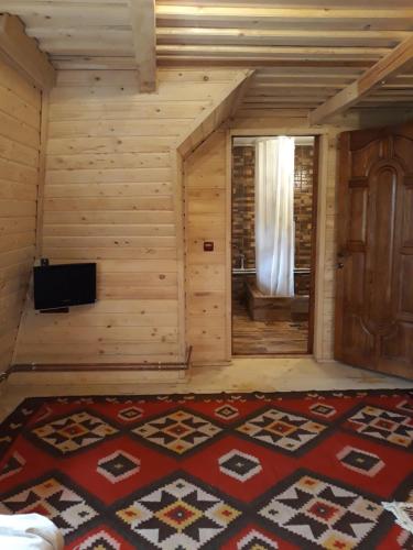 瓦杜伊泽Pensiunea La Gorgan的一间配有电视的房间和一间铺有地毯的房间