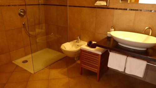 索普拉布扎诺Apparthotel Maier的一间带水槽、卫生间和淋浴的浴室