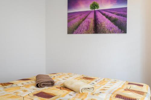 比亚韦斯托克Peaceful Bialystok的一张带毛巾的床和薰衣草场的照片