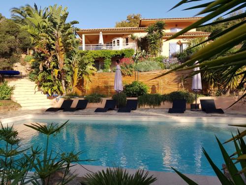 法沃内Villa Mimosa的一个带椅子和遮阳伞的游泳池的度假酒店