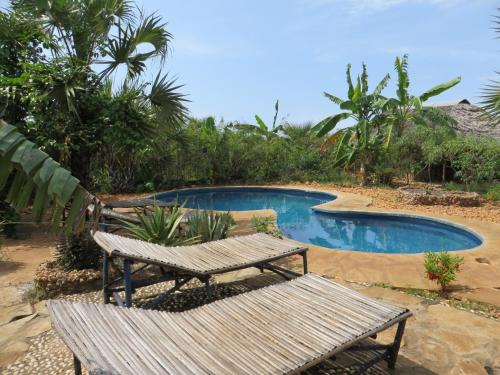 迪亚尼海滩Bahati Diani House Glamping的两个木凳坐在游泳池旁