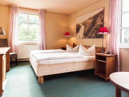 巴特尚道Bio-Hotel Helvetia的一间卧室设有一张床和两个窗户。