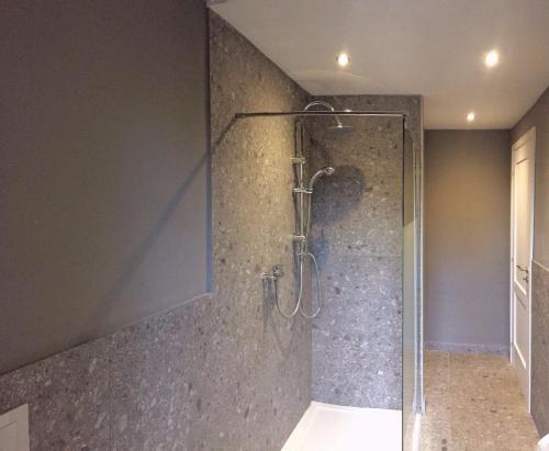 克雷莫纳Il Contrabbasso的浴室里设有玻璃门淋浴