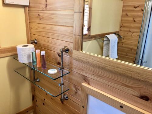 达农Rashfield Sheilings - Riverside Lodges, by Pucks Glen, Dunoon的一间带木镶板和镜子的浴室