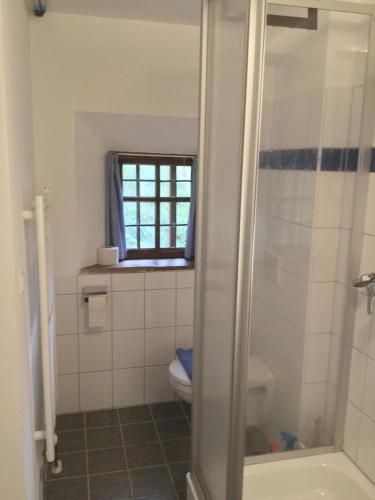 厄茨Piburg Seebichlhof的带淋浴和卫生间的浴室以及窗户。
