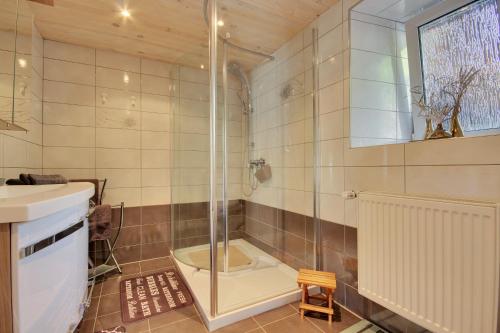 Saint-NaborGîte Le 1602的带淋浴、盥洗盆和卫生间的浴室
