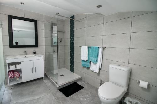 戈登湾Bikini Beach Penthouse的浴室配有卫生间、淋浴和盥洗盆。