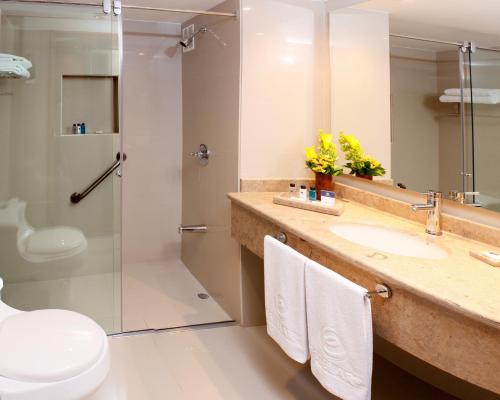 波哥大埃斯特拉喷泉公寓酒店的一间浴室