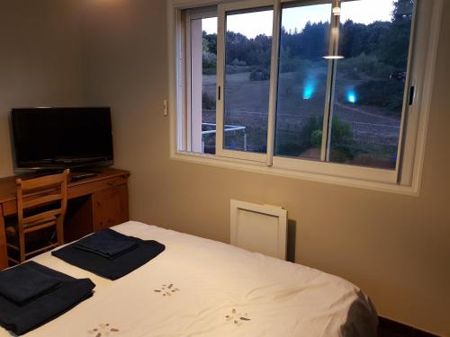 Civrieux-dʼAzerguesLes Bruyères的一间卧室配有一张床、一台电视和一个窗口
