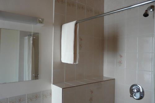 基拉尼Greenmount Accommodation的一间带镜子和淋浴的浴室
