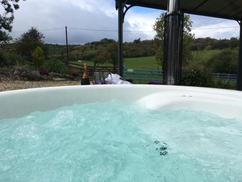 莫尔德Glan Llyn Farm House的院子里装满蓝色水的浴缸