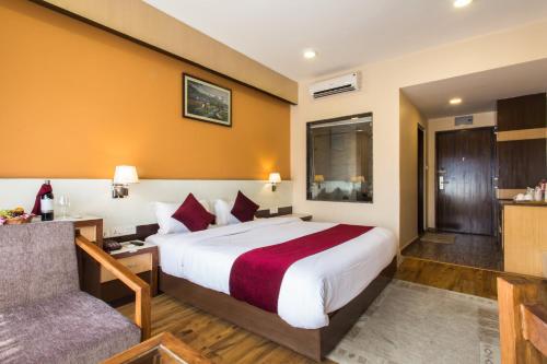 博卡拉女王公园酒店的配有一张床和一把椅子的酒店客房