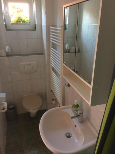 KarnitzFeWo Karnitz/Rügen的一间带水槽、卫生间和镜子的浴室