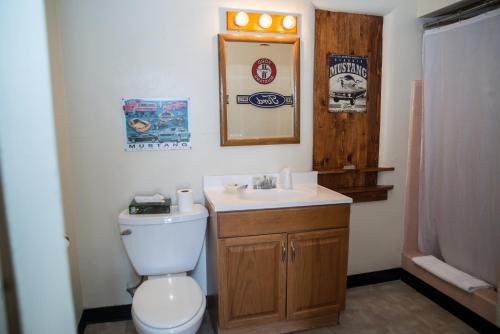 塞利格曼Historic Route 66 Motel的一间带卫生间、水槽和镜子的浴室