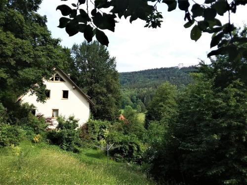 苏尔Ferienwohnung Ringbergblick的树木林立的田野中的房子