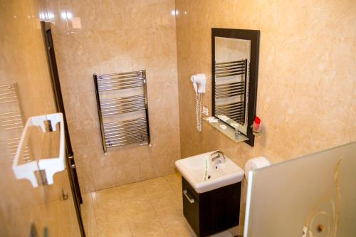普洛耶什蒂亚鲁斯酒店的一间带水槽和镜子的浴室