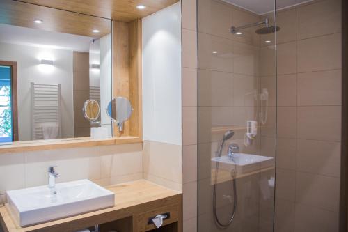 圣玛尔根索恩纽豪瑟尔酒店的一间带水槽和淋浴的浴室