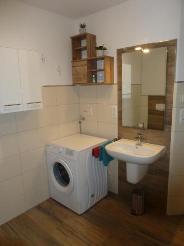 霍鲁梅尔希尔Memmert的浴室内配有洗衣机和水槽。