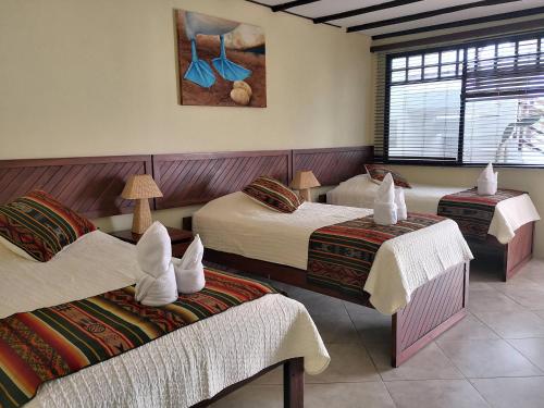 巴克里索莫雷诺港阿伦纳布兰卡生态酒店的酒店客房设有三张床和窗户。