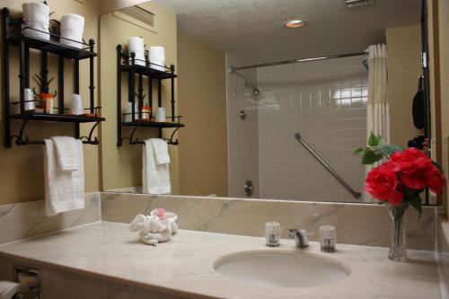 Ramada by Wyndham Viscount Suites Tucson East的一间浴室