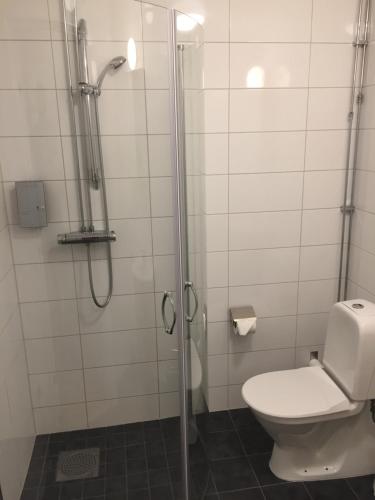 韦克舍Vallabiten Rum och Lägenheter的带淋浴和卫生间的浴室
