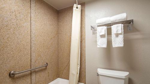 弗吉尼亚海滩贝斯特韦斯特中心酒店的浴室设有卫生间和带毛巾的淋浴。