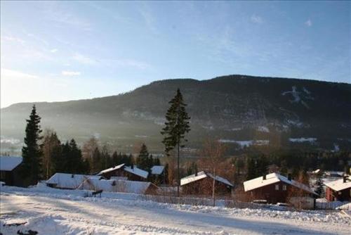 哈山Hafjell Grenda lejligheder的一座雪覆盖的村庄,后面有一座山