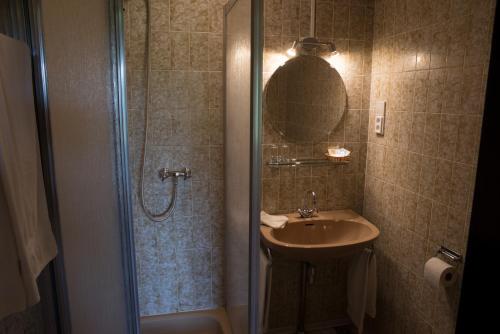 温特斯韦克林德树酒店的浴室配有盥洗盆和带镜子的淋浴