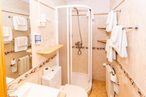 马德里维基旅馆的带淋浴、卫生间和盥洗盆的浴室