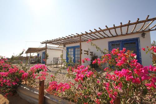 瓜达鲁佩镇Santerra, Valle de Guadalupe的前面有粉红色花的房子