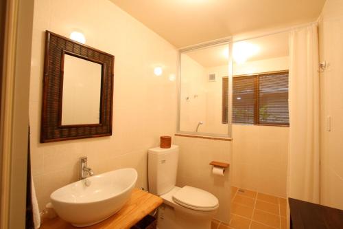恩纳Akachichi Guesthouse的一间带水槽、卫生间和镜子的浴室