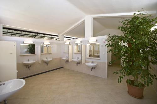 波雷奇Easyatent FKK Safari tent Ulika Naturist - clothes free的浴室设有4个水槽和盆栽植物