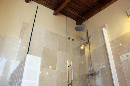 阿拉色那Casa Rural Andalucia Mia的带淋浴的浴室和玻璃门