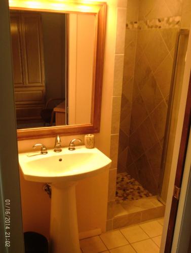 阿斯潘Shadow Mountain Lodge的浴室配有盥洗盆和带镜子的淋浴