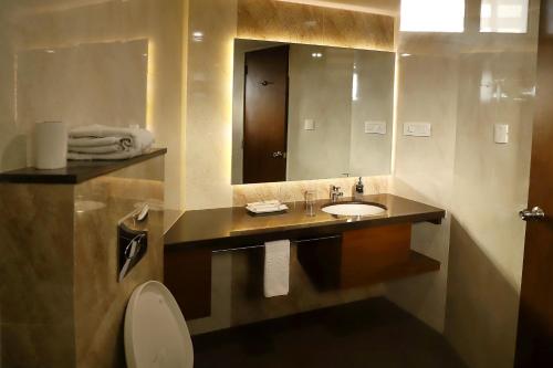 拉杰果德Patria Suites的一间带水槽和镜子的浴室