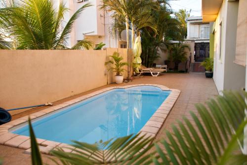 PalmyreZanana Penthouse的棕榈树庭院内的游泳池
