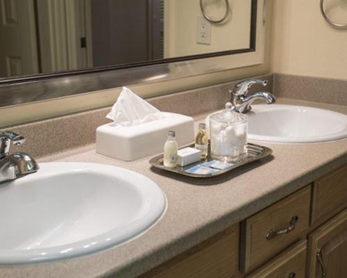 斯德特莱恩金斯伯里克罗星小屋酒店的浴室柜台设有两个盥洗盆和镜子