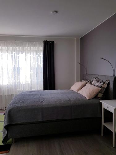 瓦尔考斯57 Kauppakatu的一间卧室设有一张大床和一个窗户。