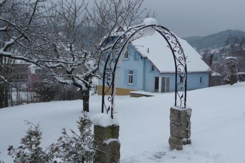 乌帕河畔斯沃博达BLUE PENSION Villa的雪中的一个雕塑,背景是房子