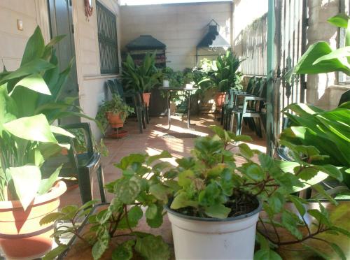 巴埃萨Alojamiento Los Poetas的种满了植物的庭院,配有桌椅