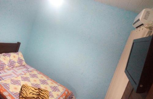 瓜尔达恩巴Pousada da Guarda的一间卧室设有一张床和蓝色的墙壁